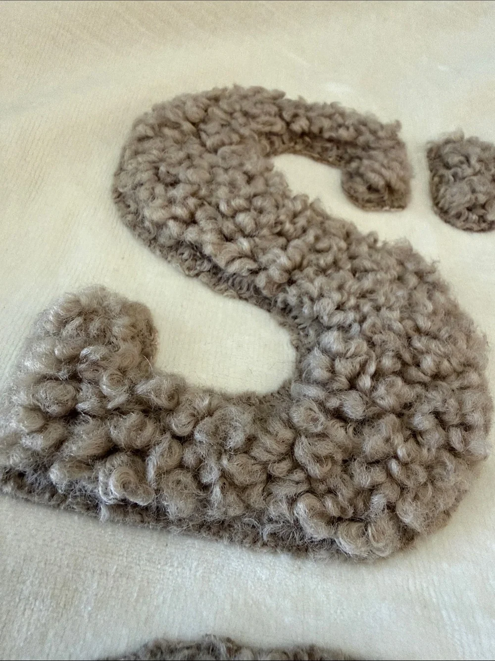 NWOT Stay Cozy Teddy Faux Fur Appliqué Pillow Cover